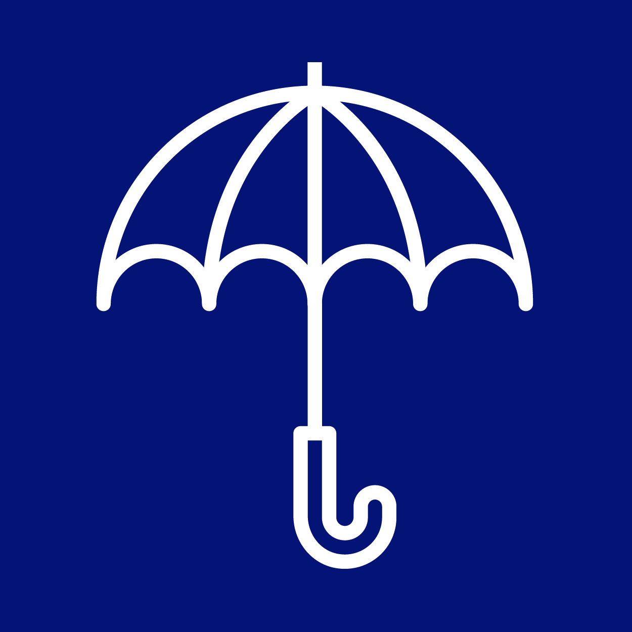 Risk Management page icon